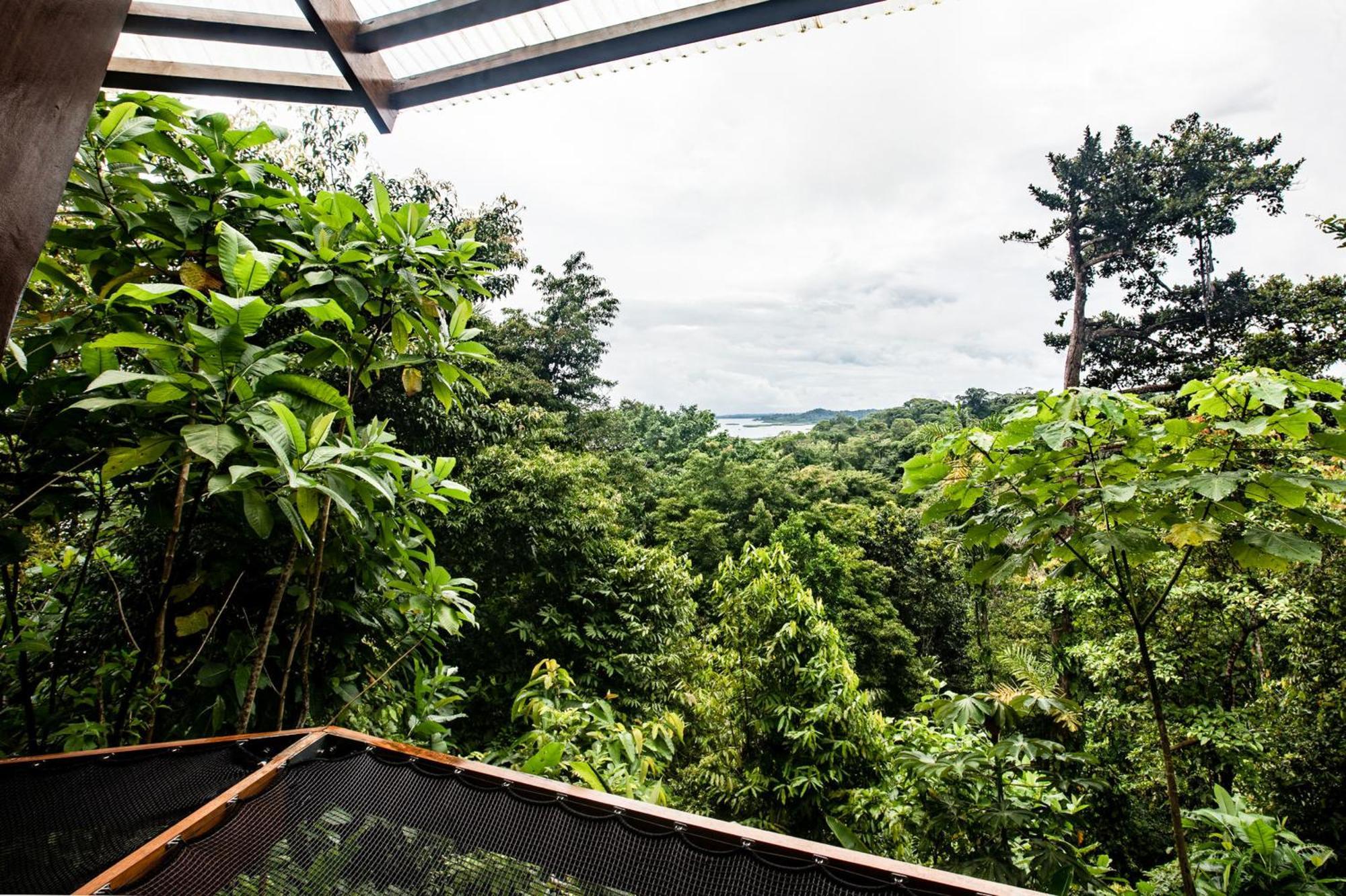 La Loma Jungle Lodge And Chocolate Farm Bocas Town Exterior foto